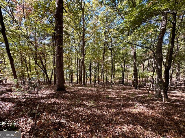 29 Forked Leaf Road, Cleveland, GA 30528
