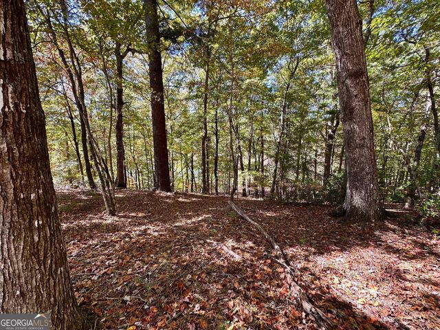 29 Forked Leaf Road, Cleveland, GA 30528
