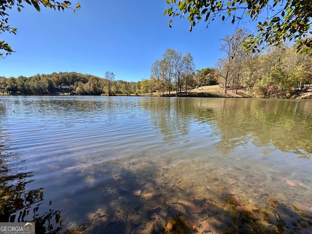 29 Forked Leaf Road, Cleveland, GA 30528