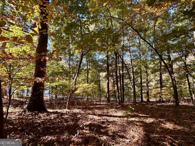 29 Forked Leaf Road, Cleveland, GA 30528