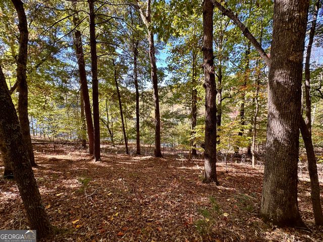 29 Forked Leaf Road, Cleveland, GA 30528