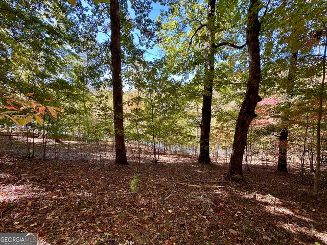 29 Forked Leaf Road, Cleveland, GA 30528