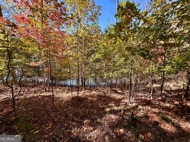29 Forked Leaf Road, Cleveland, GA 30528