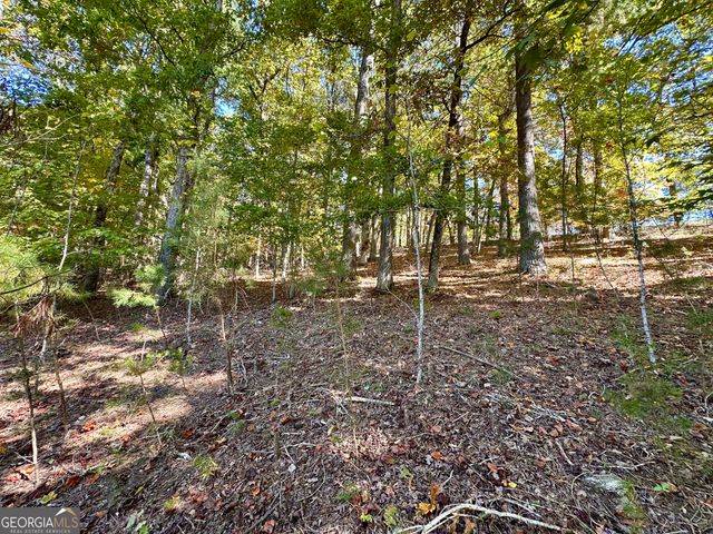 29 Forked Leaf Road, Cleveland, GA 30528