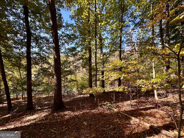 29 Forked Leaf Road, Cleveland, GA 30528