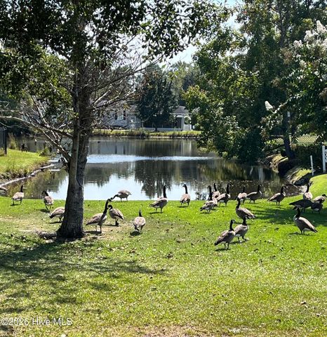 1085 Waterview Lane, Calabash, NC 28467