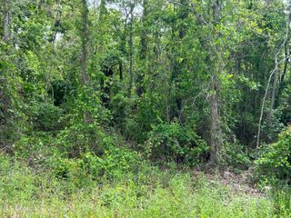 0 Market Street, Pass Christian, MS 39571