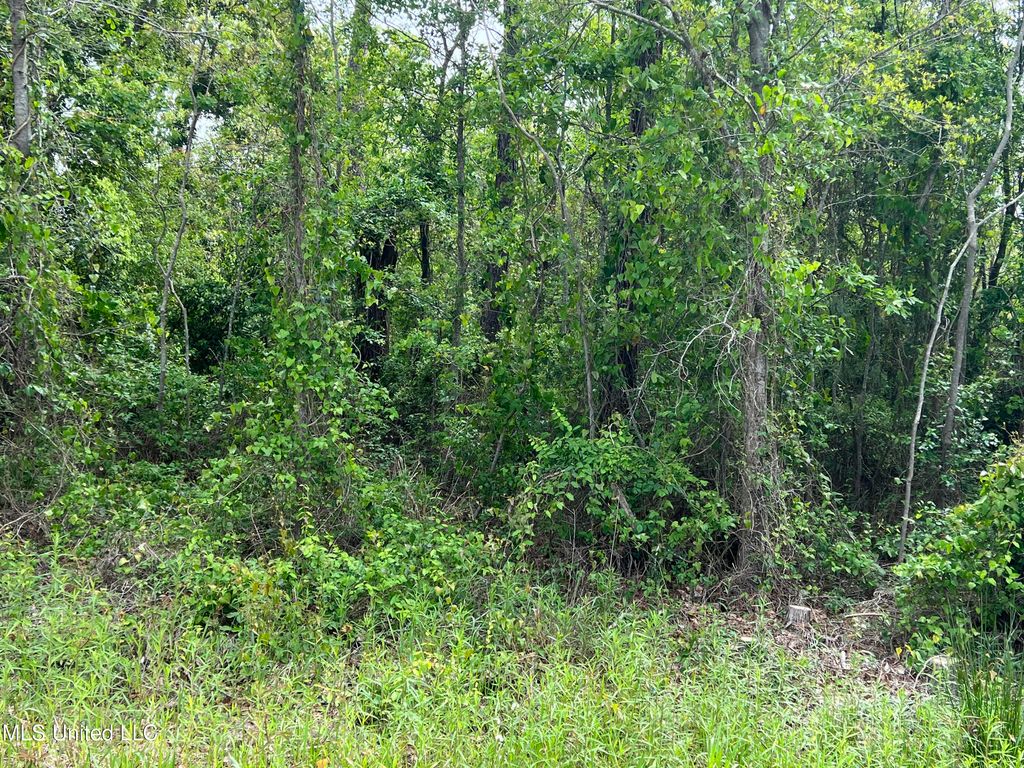 0 Market Street, Pass Christian, MS 39571