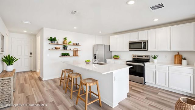 10408 Turtle Run Road, Brooksville, FL 34613