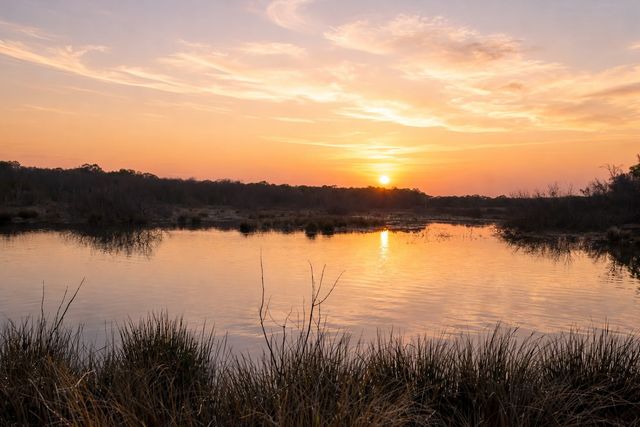 1751 Vz County Road 1925, Edgewood, TX 75117