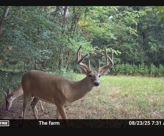 1751 Vz County Road 1925, Edgewood, TX 75117