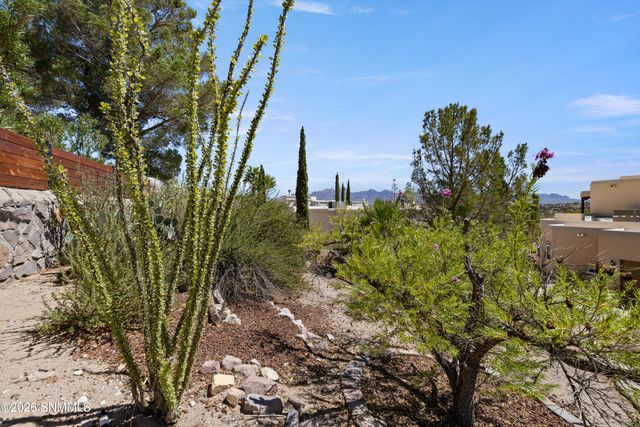 3803 Grand Teton Way, Las Cruces, NM 88011
