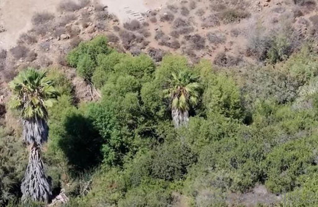 Proctor Valley, Chula Vista, CA 91914 — photo 2