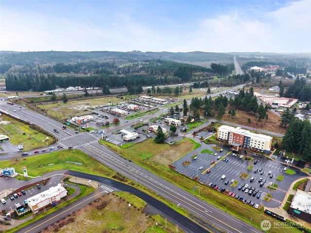 18821 Guava Street SW, Rochester, WA 98579