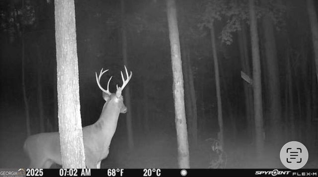 596 Arnett School Road, Sylvania, GA 30467