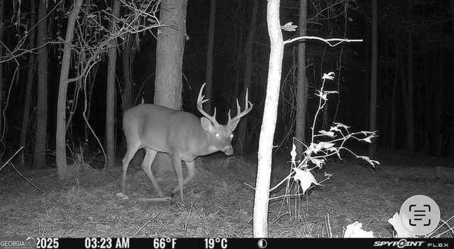 596 Arnett School Road, Sylvania, GA 30467