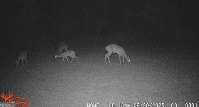 596 Arnett School Road, Sylvania, GA 30467