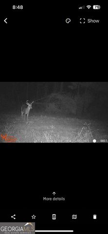 596 Arnett School Road, Sylvania, GA 30467