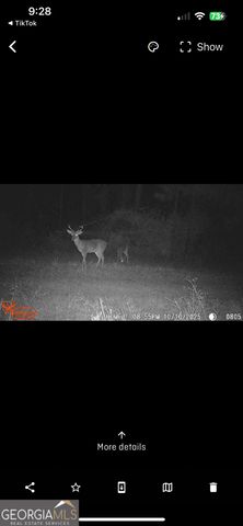 596 Arnett School Road, Sylvania, GA 30467