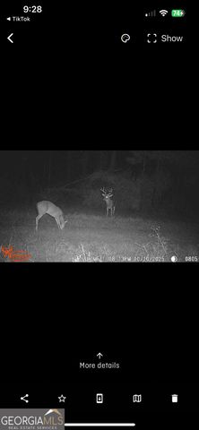 596 Arnett School Road, Sylvania, GA 30467