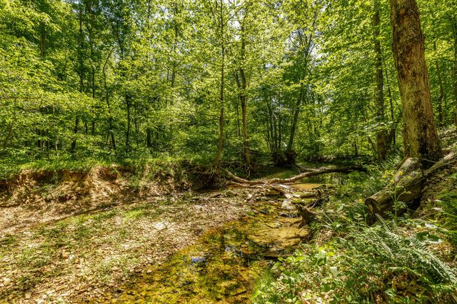 237 Lear Rd, Portland, TN 37148