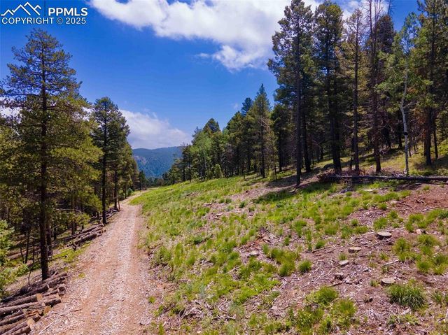 12329 Powhatan Trail, Conifer, CO 80433