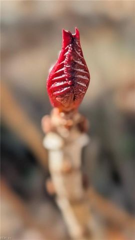 2425 W Miller RD, Toano, VA 23168