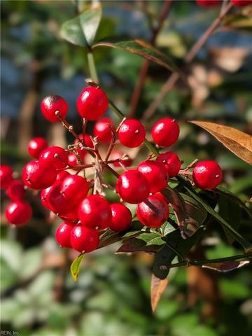 2425 W Miller RD, Toano, VA 23168