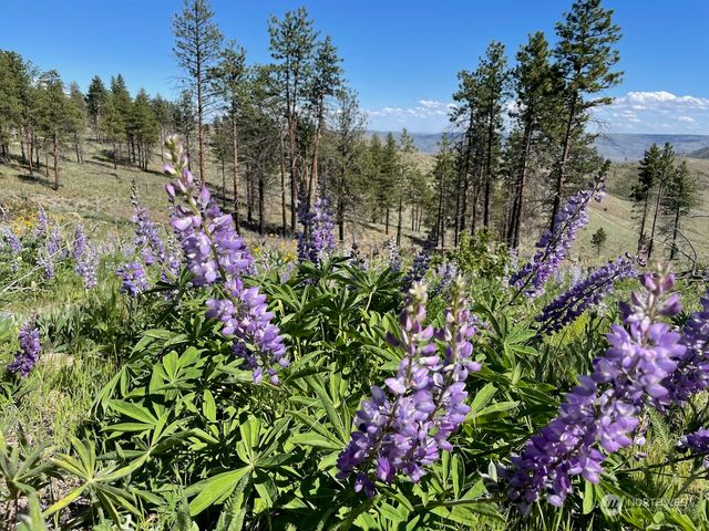 436 Antoine Creek Road #Lot E, Chelan, WA 98816