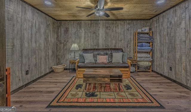 30 Stanley Creek Crossing, Cherry Log, GA 30522