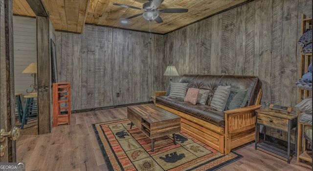 30 Stanley Creek Crossing, Cherry Log, GA 30522