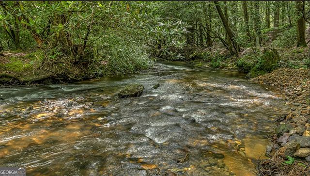 30 Stanley Creek Crossing, Cherry Log, GA 30522