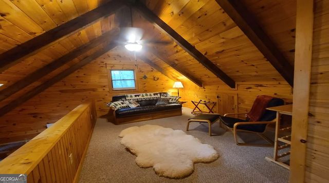30 Stanley Creek Crossing, Cherry Log, GA 30522