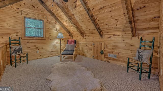 30 Stanley Creek Crossing, Cherry Log, GA 30522