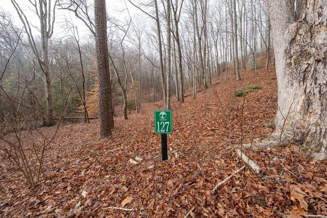 Lot 127 Serene Pond Trail, Murphy, NC 28906