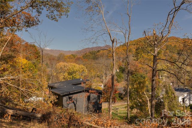 13 Bassett Road, Asheville, NC 28804