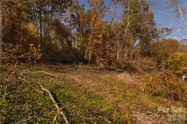 13 Bassett Road, Asheville, NC 28804