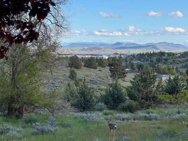 Clairmont Drive 5, 6, 11 & 12, Klamath Falls, OR 97601
