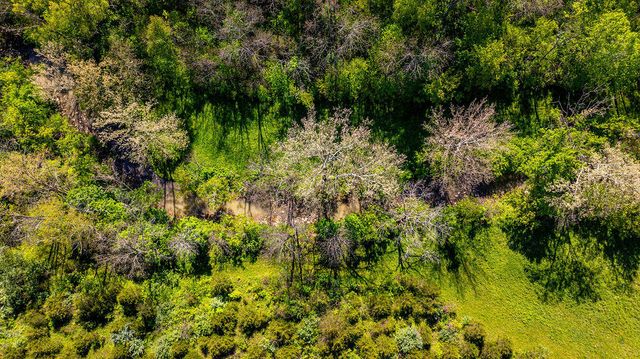 2300 Taft HWY, Dry Ridge, KY 41035