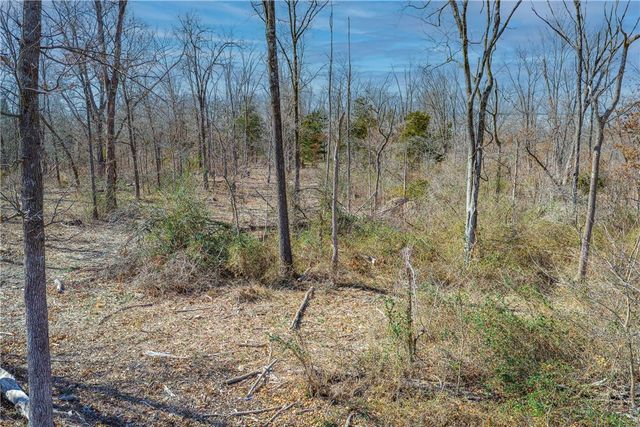 TBD Peck Lane, Rogers, AR 72758