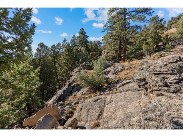 7153 Silverhorn Dr, Evergreen, CO 80439