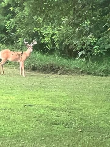 12320 PRAIRIE DRIVE, Plover, WI 54467