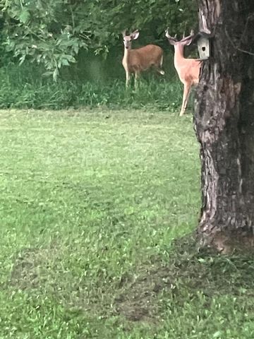 12320 PRAIRIE DRIVE, Plover, WI 54467