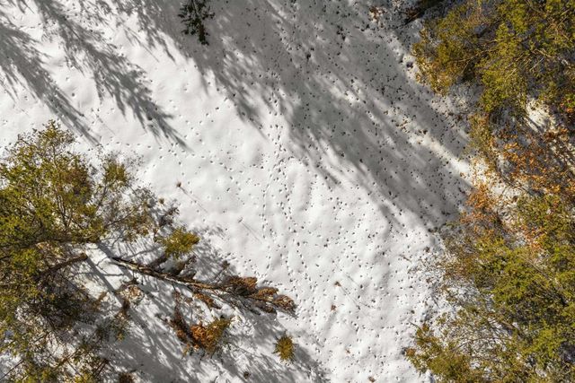 12320 PRAIRIE DRIVE, Plover, WI 54467