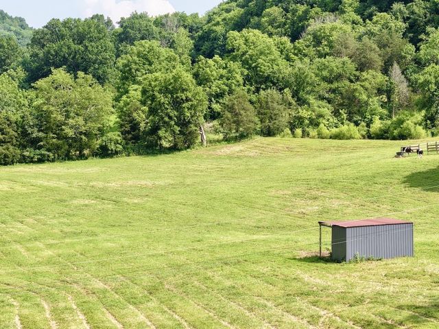 161 Fowler Rd, Woodbury, TN 37190