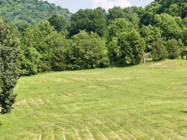 161 Fowler Rd, Woodbury, TN 37190