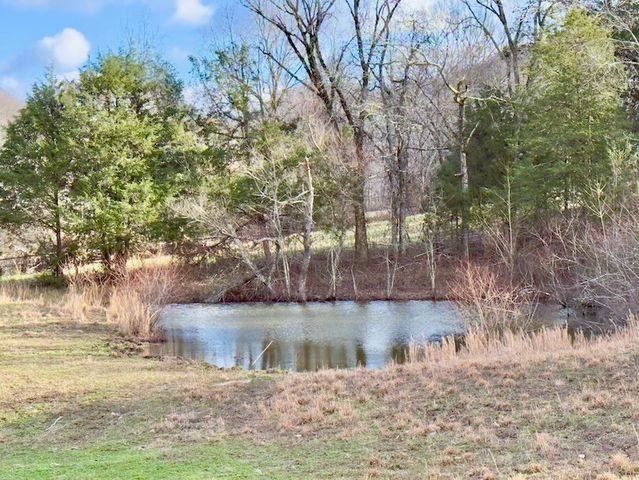 161 Fowler Rd, Woodbury, TN 37190