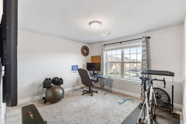 324 Moonvine Drive, Little Elm, TX 75068