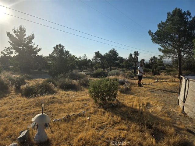 10623 Desert View, Pinon Hills, CA 92372