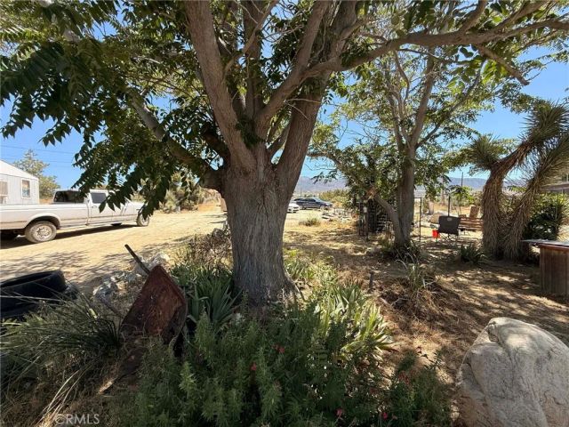 10623 Desert View, Pinon Hills, CA 92372